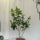 재분농장 이미지