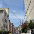 파리바게트도계