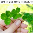 당신은 사랑받기 위해 태어난 사람 이미지