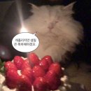 행복한날들 | 긍정의 달이야. 힘든 날들이지만 벌써 절반이나 버텨낸 거고, 행복한 날들은 아직 절반이나 남았다는 뜻...