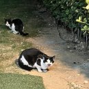 석모 스테이 이미지