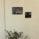 라지비