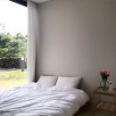 다모리네 이미지