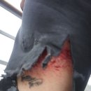 왕숙천 자전거도로14 이미지