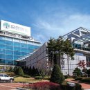 메디와이즈 주식회사 이미지