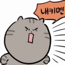 몬모니 Daum카페