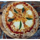 뚜띠쿠치나 이미지