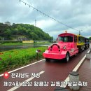 무채의아름다움 | 전남 축제 제24회 장성 황룡강 길동무 꽃길축제 &amp; 2025 전라남도 정원 페스티벌