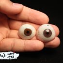 코리아의안센터 이미지