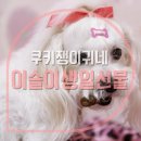 이슬여사
