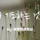 찬양콘트 20260807 한밤 20260809 주일예배 입니다 이미지