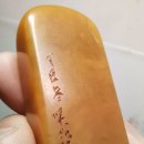 도환사