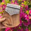 칼림바 초급 이미지