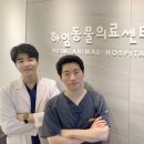 하임동물의료센터 이미지