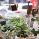 메리플라워 이미지