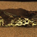 공주교육대학교 박물관 이미지