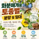 화분매개 토종벌 홍보 이미지