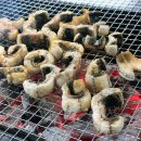 연말모임하기 좋은 캠핑감성 장어맛집 계양구 장어&amp;육해공 바베큐 후기