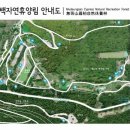 편백숲하우스 이미지
