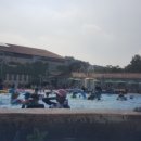 안성내츄럴리조트 오토캠핑장 이미지