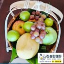 생각이 자라는 창의융합놀이터 5~6세(자녀+보호자1인) | 베트남 영어캠프 / LGO 호이안 HAIS 국제학교 / 실크 센스 리버 리조트 비용