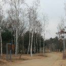 H9065 Daum카페