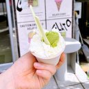 (주)에프앤디넷 포미즈여성병원점 | [공지] 포미즈여성병원 8주차 젤리곰 초음파 후기+증상변화 기록