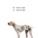 옆집강아지 이미지