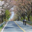 대청호코스 이미지