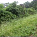 독산성길(삼남길) 이미지