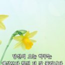 아보 이미지