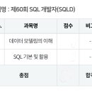 국민대학교 비즈니스IT전문대학원 | [SQLD] SQL Developer 60회 합격 후기 / 공부법
