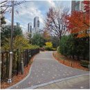 하나(단지내)공인중개사사무소 이미지