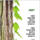 새벽을 여는 사람들 이미지