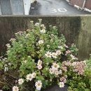 용동목장 | 탱자 탱자 놀구 먹구