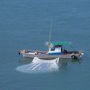 미강식당 이미지