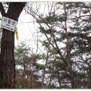 사일산 이미지