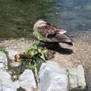 호평할인마트 이미지