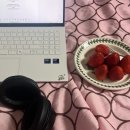 지에스(GS)25 상일세종점 | 꽃샘추위 미쳤나 봐 03.01-07