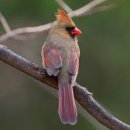 초안산 붕붕도서관 이미지