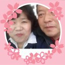 신원초교 이미지