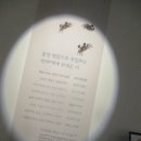 고흥이야기 이미지