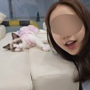 캣플코지눅 시화점 이미지