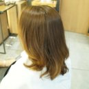 다인리코