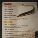 마약꼼장어 이미지