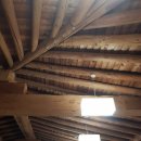 민들레식당 이미지