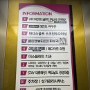 클린안마원 | 대연동마사지 완전 대만족 후기 경성대마사지 잘하는 곳 드디어 찾았네요!