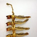 현구운수 이미지