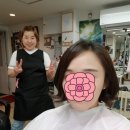 김미용실 이미지