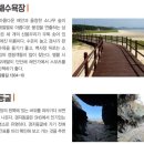 삼봉자동차야영장 | 태리비안의힐링:안면도삼봉해수욕장을즐기는방법